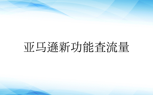 亚马逊新功能查流量