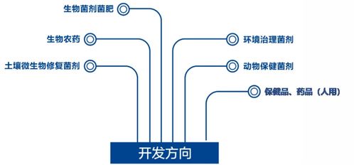 生物技术可应用在哪些方面上