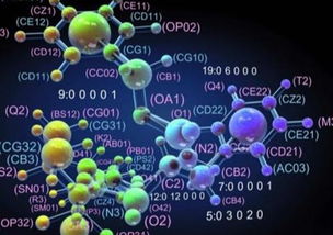 论述生物技术的应用前景，生物技术：改变未来的强大引擎