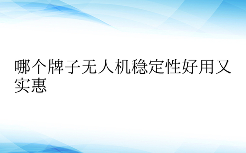 哪个牌子无人机稳定性好用又实惠