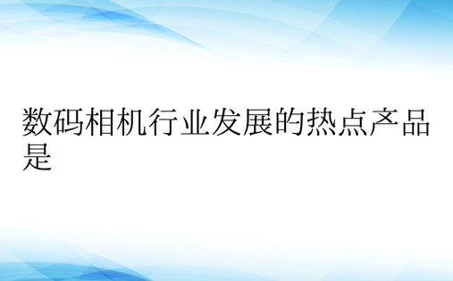 数码相机行业发展的热点产品是