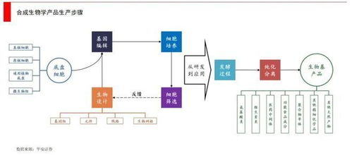 信息技术与生物学科融合的思考