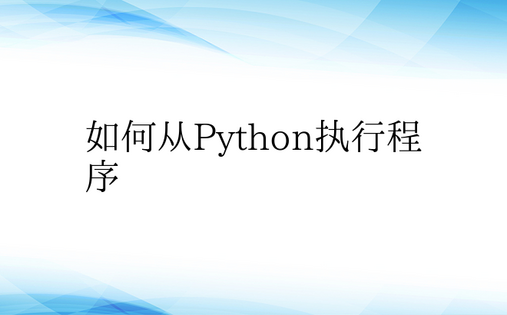 如何从Python执行程序