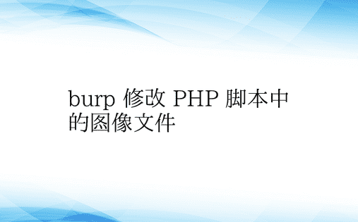 burp 修改 PHP 脚本中的图像文件
